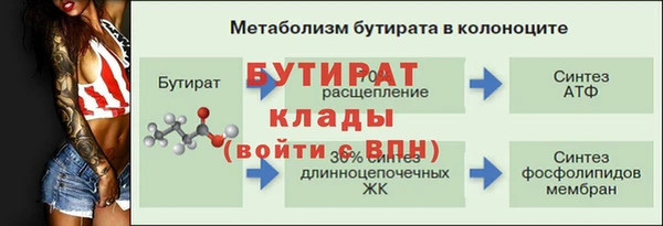мяу мяу мука Баксан