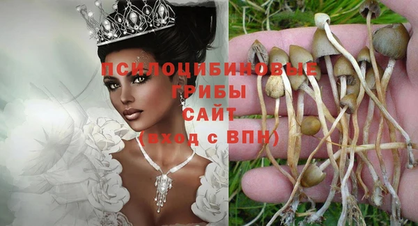 мет Аркадак