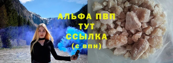 мяу мяу мука Баксан